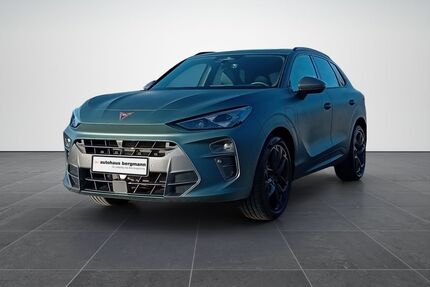 Cupra Terramar Gebrauchtwagen