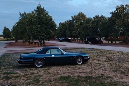 Jaguar XJS Gebrauchtwagen