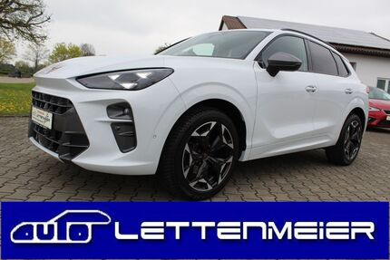 Cupra Terramar Gebrauchtwagen