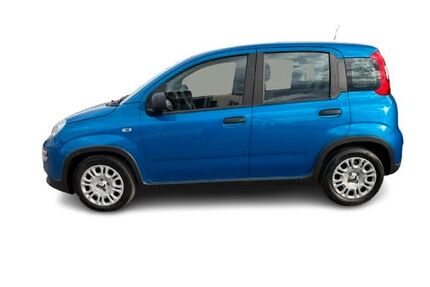 Fiat Panda Gebrauchtwagen
