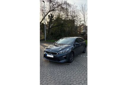 Kia ceed / Ceed Gebrauchtwagen
