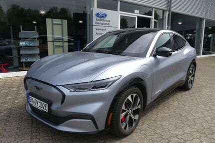 Ford Mustang Mach-E Gebrauchtwagen