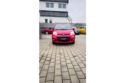 Fiat Panda Gebrauchtwagen