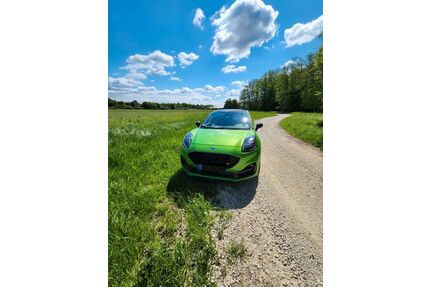 Ford Puma Gebrauchtwagen