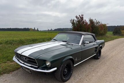 Ford Mustang Gebrauchtwagen