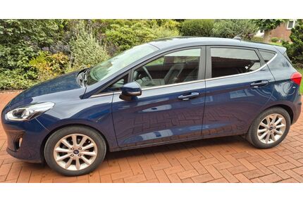 Ford Fiesta Gebrauchtwagen