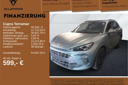 Cupra Terramar Gebrauchtwagen