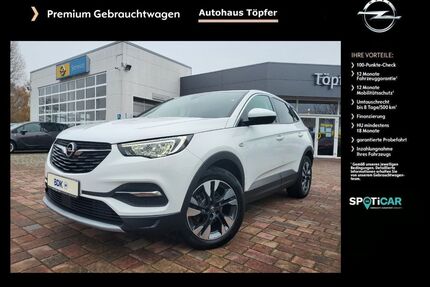 Opel Grandland (X) Gebrauchtwagen