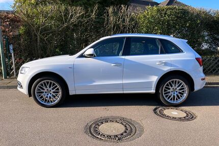 Audi Q5 Gebrauchtwagen