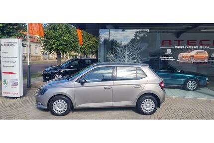 Skoda Fabia Gebrauchtwagen
