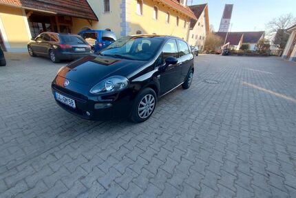 Fiat Punto Gebrauchtwagen