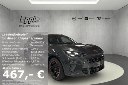Cupra Terramar Gebrauchtwagen