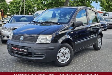 Fiat Panda Gebrauchtwagen