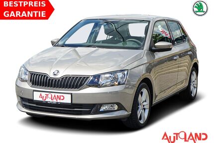 Skoda Fabia Gebrauchtwagen