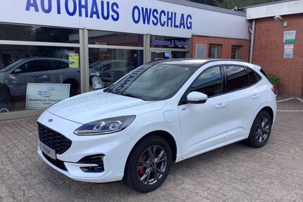 Ford Kuga Gebrauchtwagen