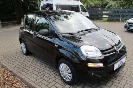 Fiat Panda Gebrauchtwagen