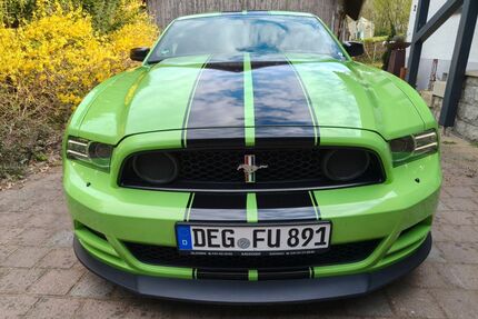Ford Mustang Gebrauchtwagen