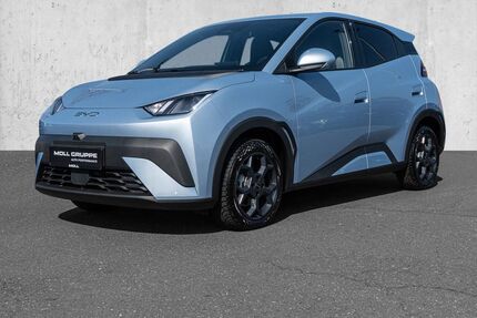 BYD DOLPHIN Gebrauchtwagen