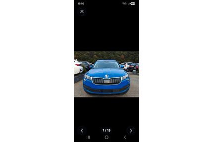 Skoda Karoq Gebrauchtwagen