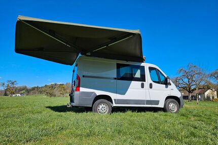 Fiat Ducato Gebrauchtwagen