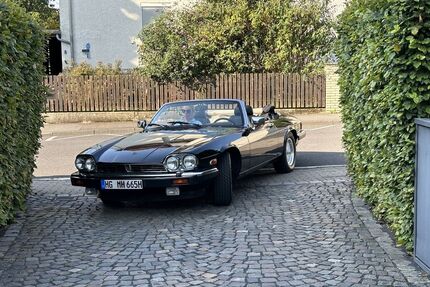 Jaguar XJS Gebrauchtwagen