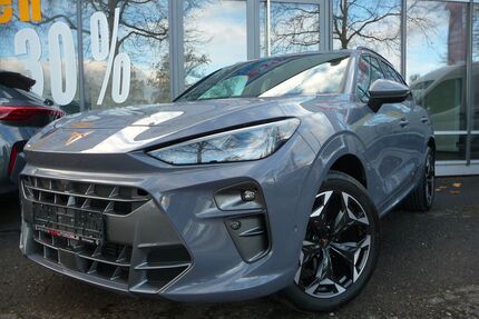 Cupra Terramar Gebrauchtwagen