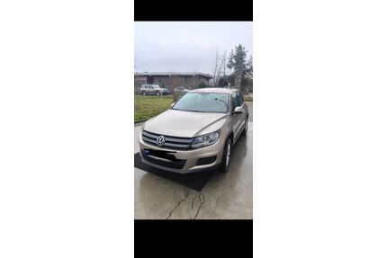 VW Tiguan Gebrauchtwagen