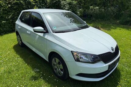 Skoda Fabia Gebrauchtwagen