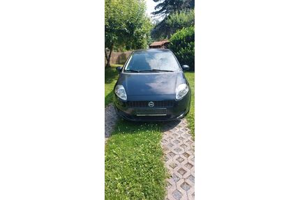 Fiat Punto Gebrauchtwagen