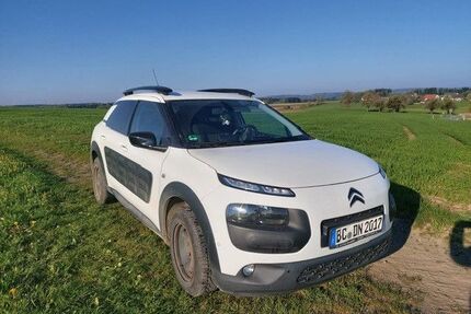 Citroen C4 Cactus Gebrauchtwagen