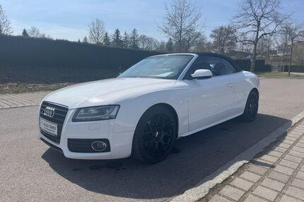 Audi A5 Gebrauchtwagen