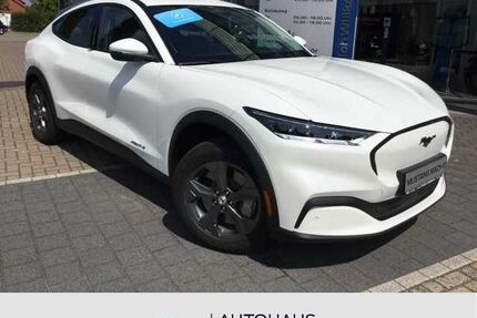 Ford Mustang Mach-E Gebrauchtwagen