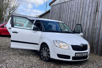 Skoda Fabia Gebrauchtwagen