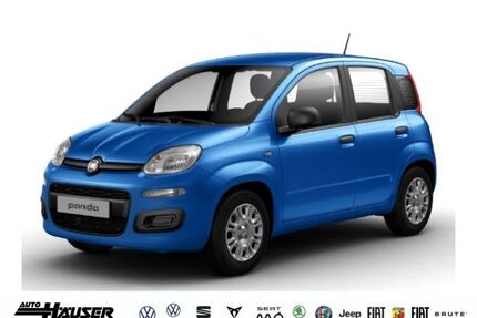 Fiat Panda Gebrauchtwagen