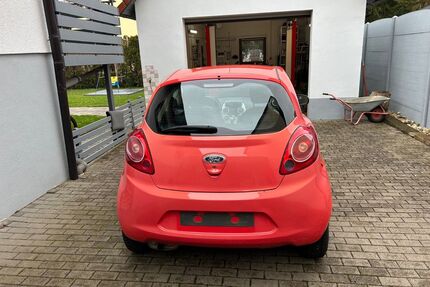 Ford Ka/Ka+ Gebrauchtwagen