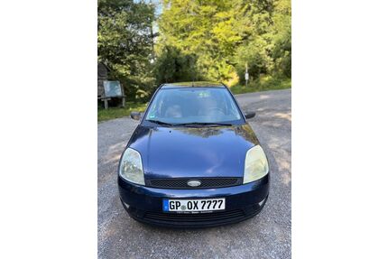 Ford Fiesta Gebrauchtwagen