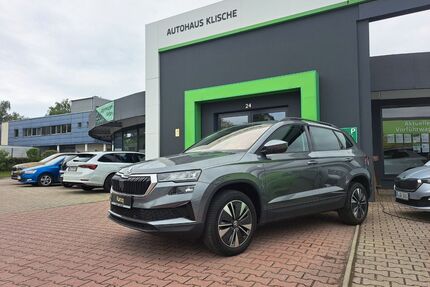 Skoda Karoq Gebrauchtwagen
