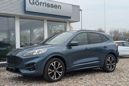 Ford Kuga Gebrauchtwagen