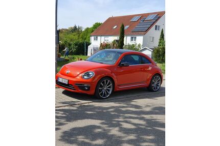 VW Beetle Gebrauchtwagen