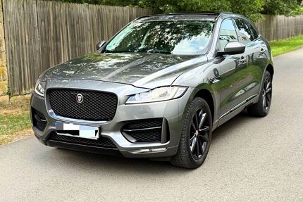 Jaguar F-Pace Gebrauchtwagen