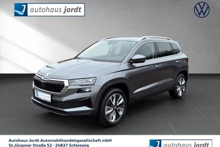 Skoda Karoq Gebrauchtwagen