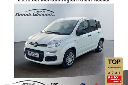 Fiat New Panda Gebrauchtwagen