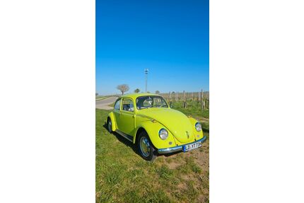 VW Käfer Gebrauchtwagen