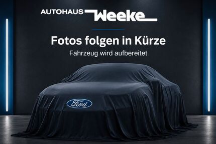 Ford B-Max Gebrauchtwagen