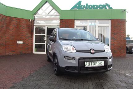 Fiat Panda Gebrauchtwagen