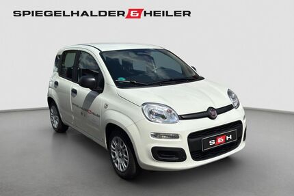 Fiat New Panda Gebrauchtwagen