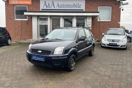 Ford Fusion Gebrauchtwagen