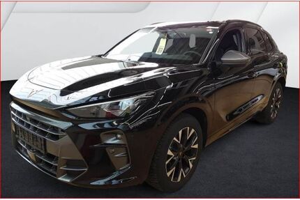 Cupra Terramar Gebrauchtwagen