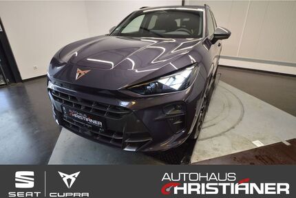 Cupra Terramar Gebrauchtwagen