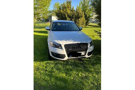 Audi Q5 Gebrauchtwagen